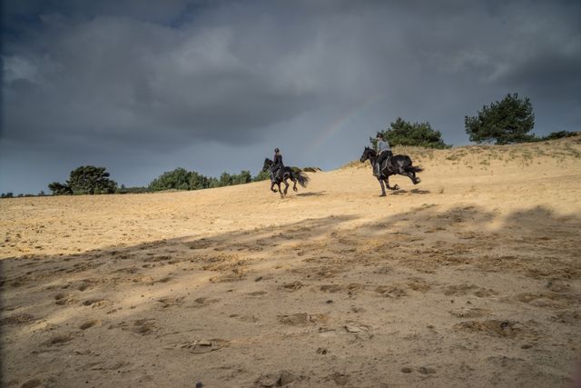 Paardrijden friesen zandverstuiving