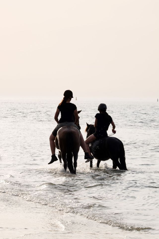 Paardrijden op Vlieland