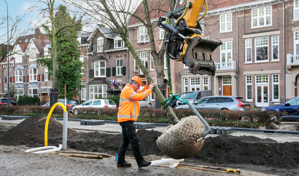 Foto van de Koningsweg waar een hijskraan een nieuwe boom vasthoudt die wordt geplant.