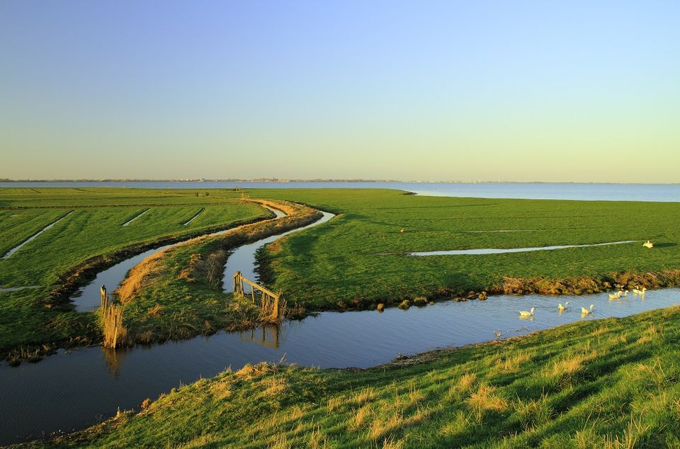 Buitendijks Land bij Schardam