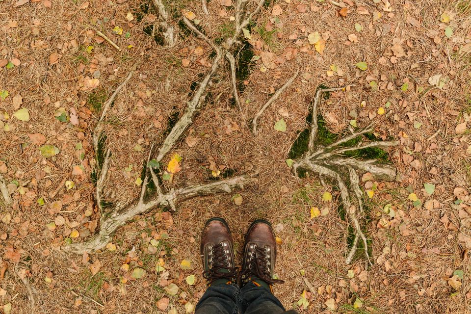 Twee voeten met wandelschoenen van bovenaf gezien, tegen een ondergrond met herfstkleuren.