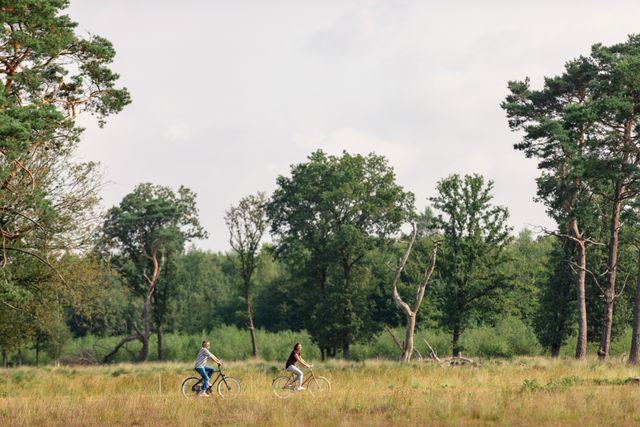 Stel fietst door Drentse natuur.