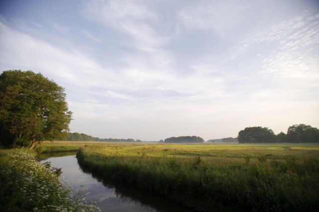 Groene graslanden en een slingerend beekje in Drenthe.