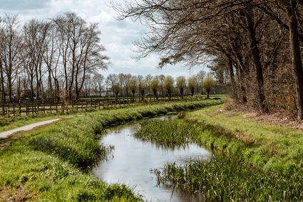 Beek in een Brabants landschap