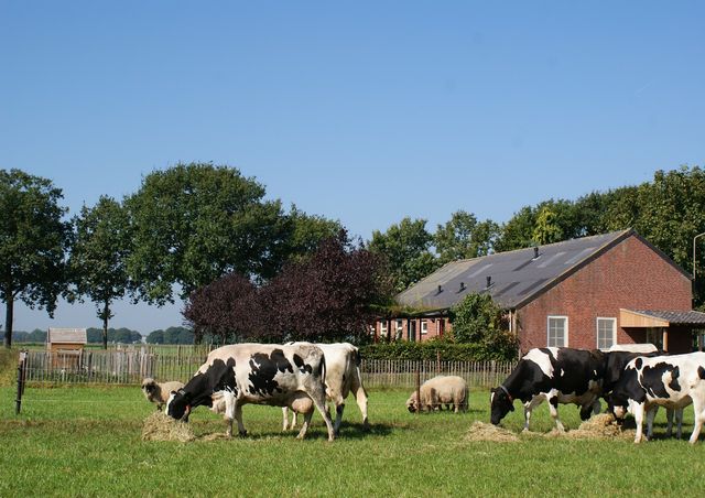 Brabants Kwartierke Rural holiday home for up to 18 people Vlierden