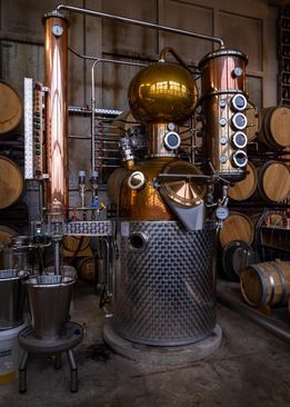 Bottle Distillery tour with tasting (English)