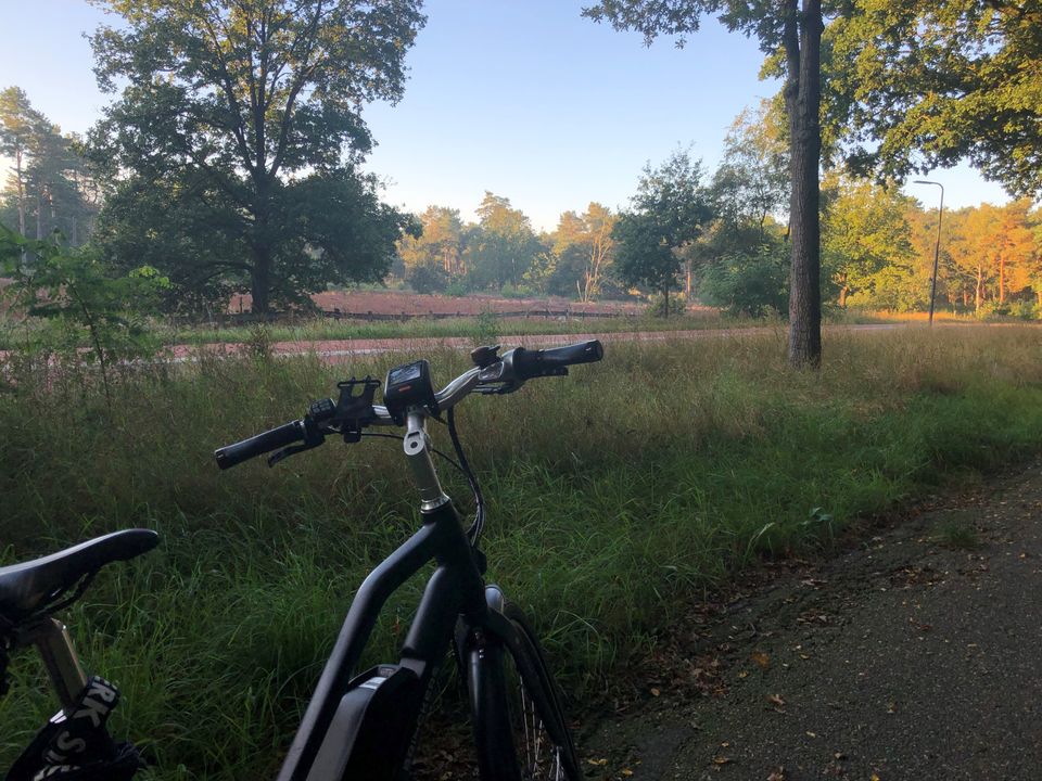 Foto van een fiets met op de achtergrond bosgebied.