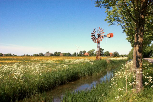 Een prachtige voorjaarsfoto van een windmolentje in een landbouwveld in de voorjaarszon.