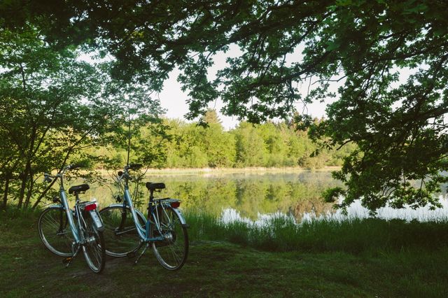 Twee fietsen staan onder de bomen aan het water.