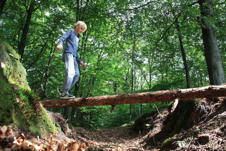 een jongentje die over een omgevallen boomstam loopt