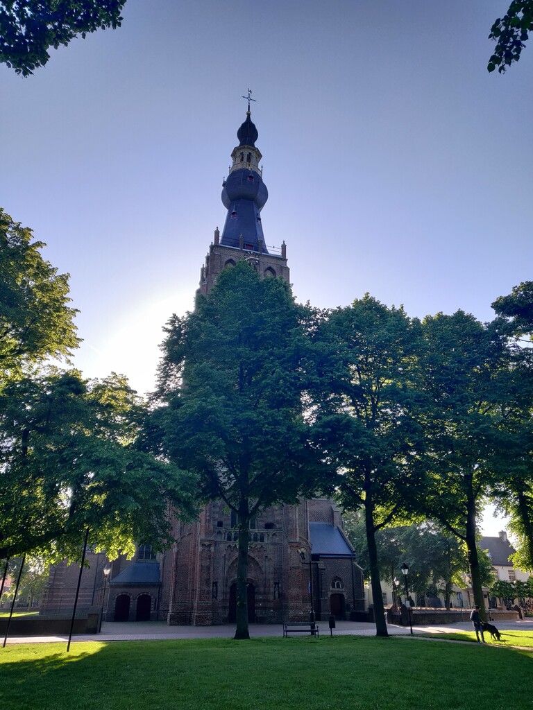 Een foto van de Sint Petruskerk in Hilvarenbeek.
