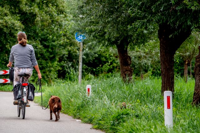 Fietser met hond aan de lijn nabij het Amsterdamse Bos