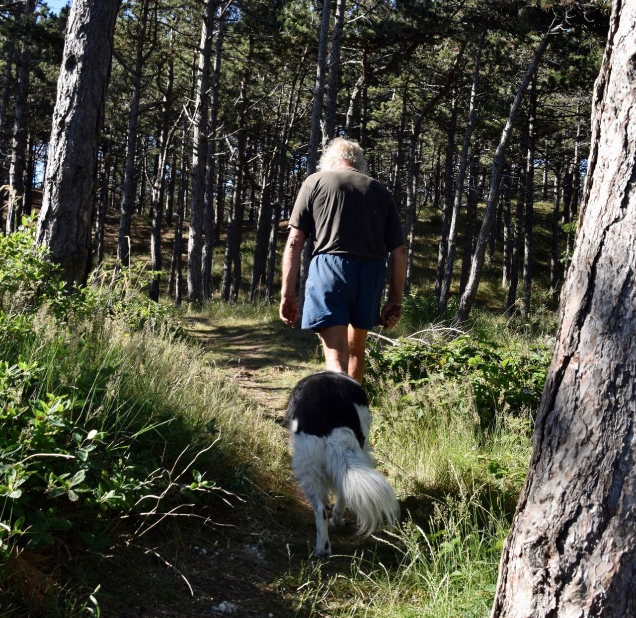Jan Soek met Hond in bos Vlieland