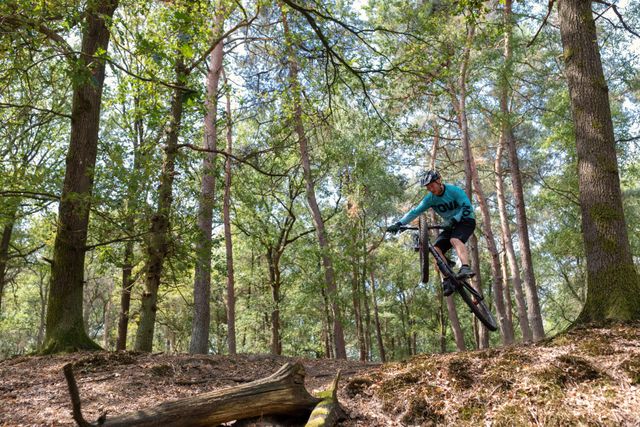 Mountainbiker springt door de lucht in Drentse bossen.