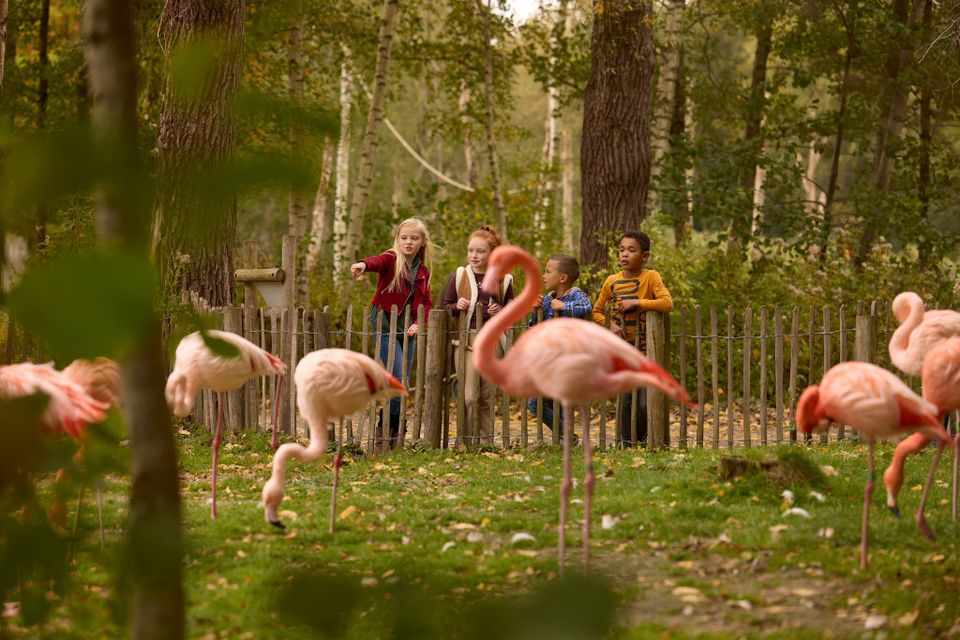 Kinderen met flamingo's in AquaZoo Leeuwarden
