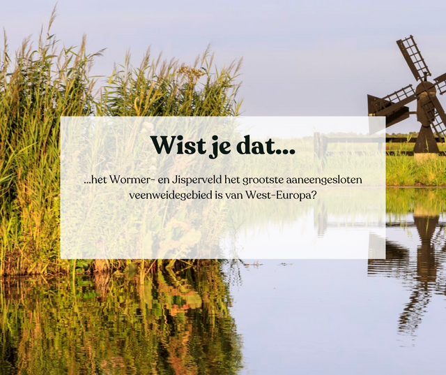 Foto van het Wormer- en Jisperveld met de tekst: Wist je dat het Wormer- en Jisperveld het grootste aaneengesloten veenweidegebied is van West-Europa?