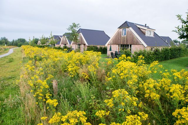 Een rij bungalows met een heg van gele bloemen.