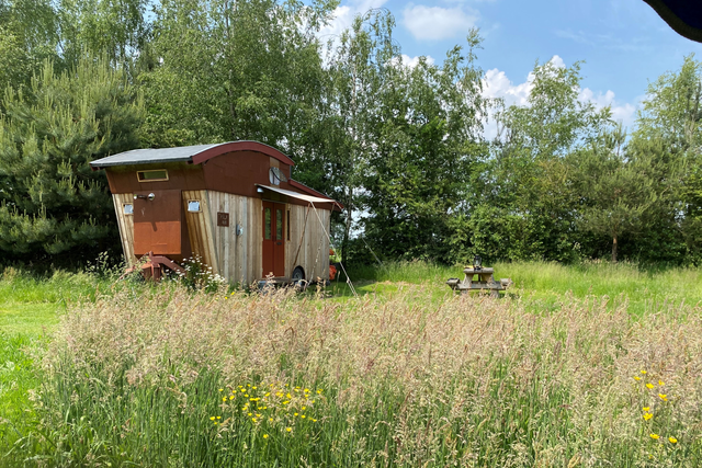 Een tiny house op een grasveldje in de natuur in Drenthe.