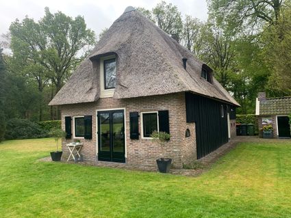 Vakantiehuis in het bos | Dwingeloo | Nationaal Park Dwingelderveld