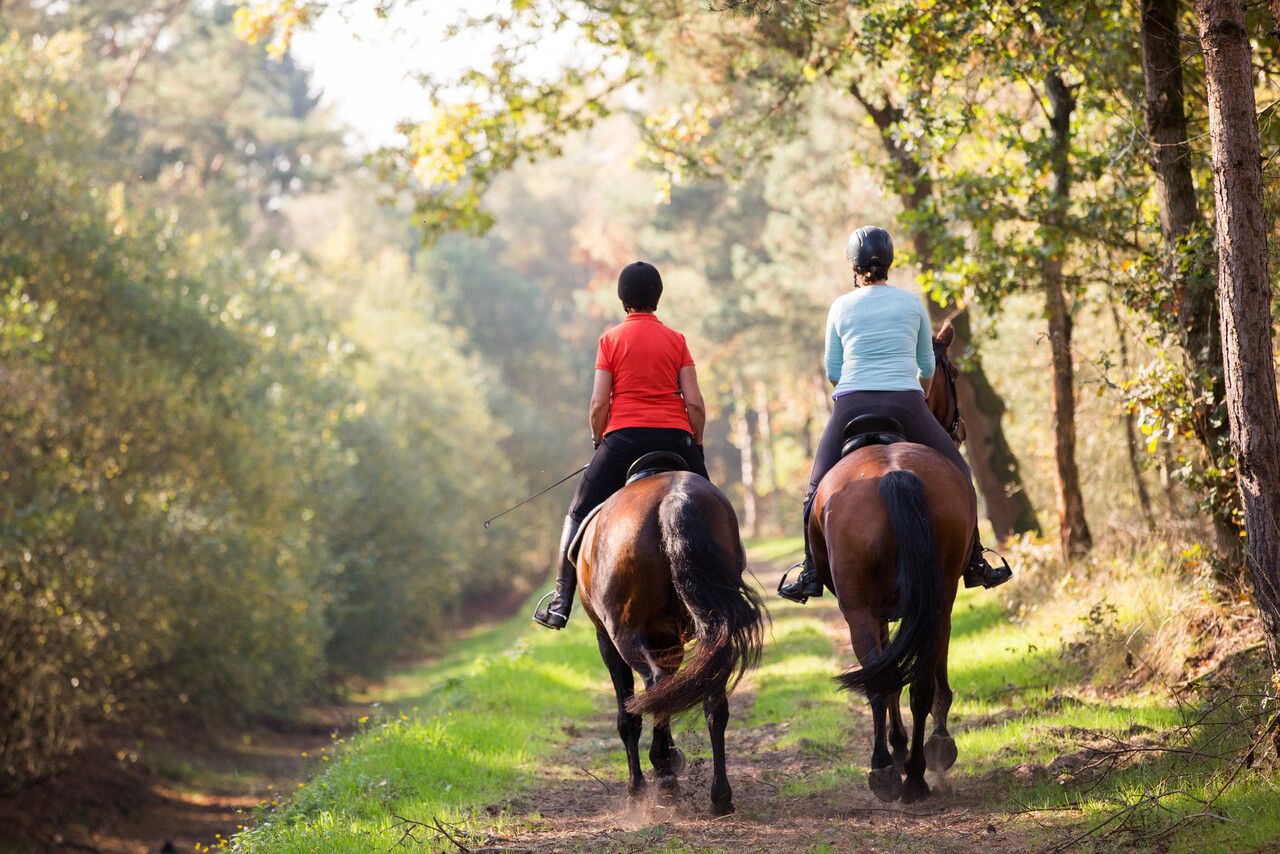 Twee ruiters te paard in een bos die wegrijden de verte in.