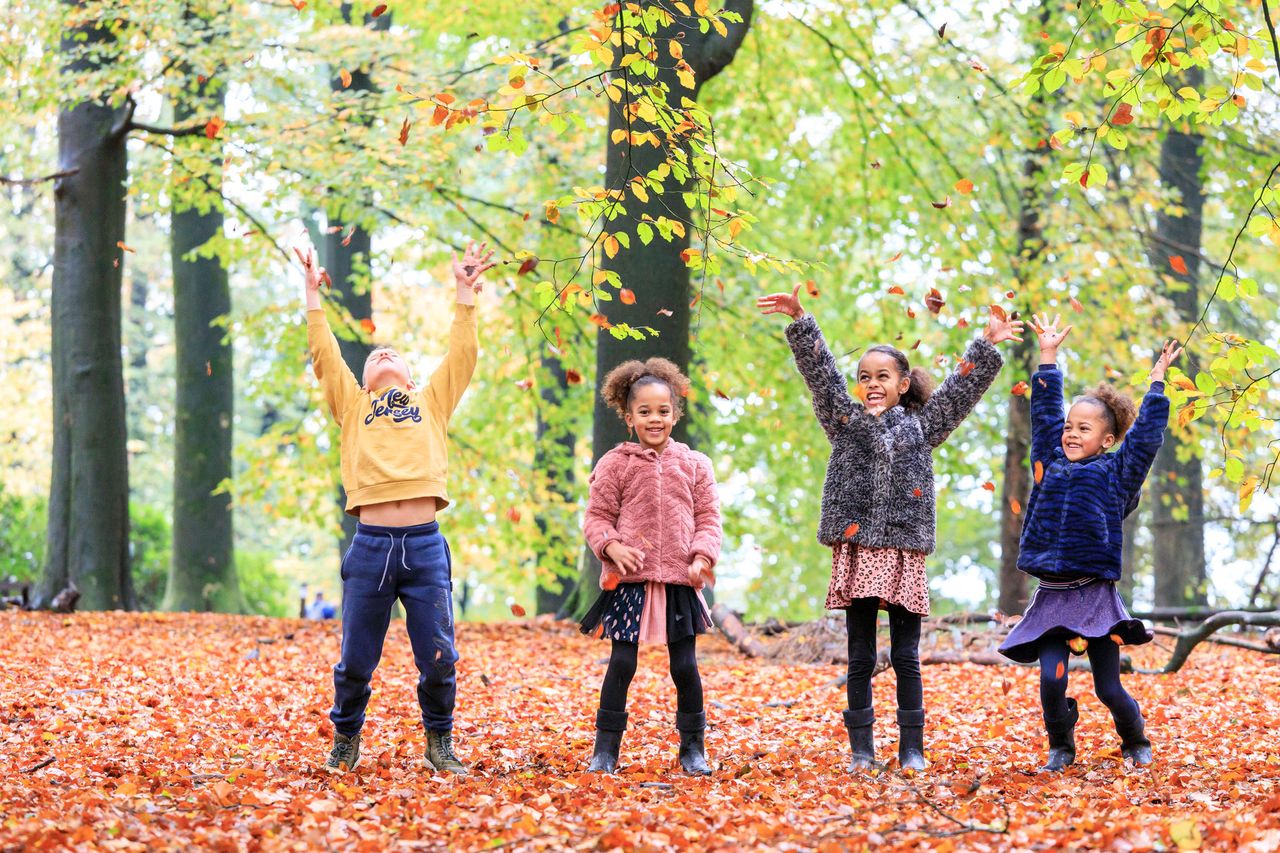 kinderen in het bos op de Veluwe tijdens de herfst