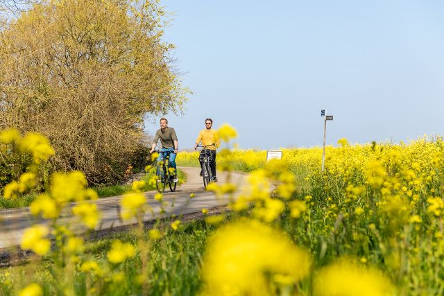 Twee fietsers die fietsen bij brouwerij Ooijen met gele bloemetjes op de voorgrond.