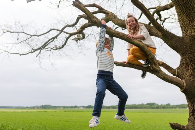 Broer en zus klimmen in de boom.