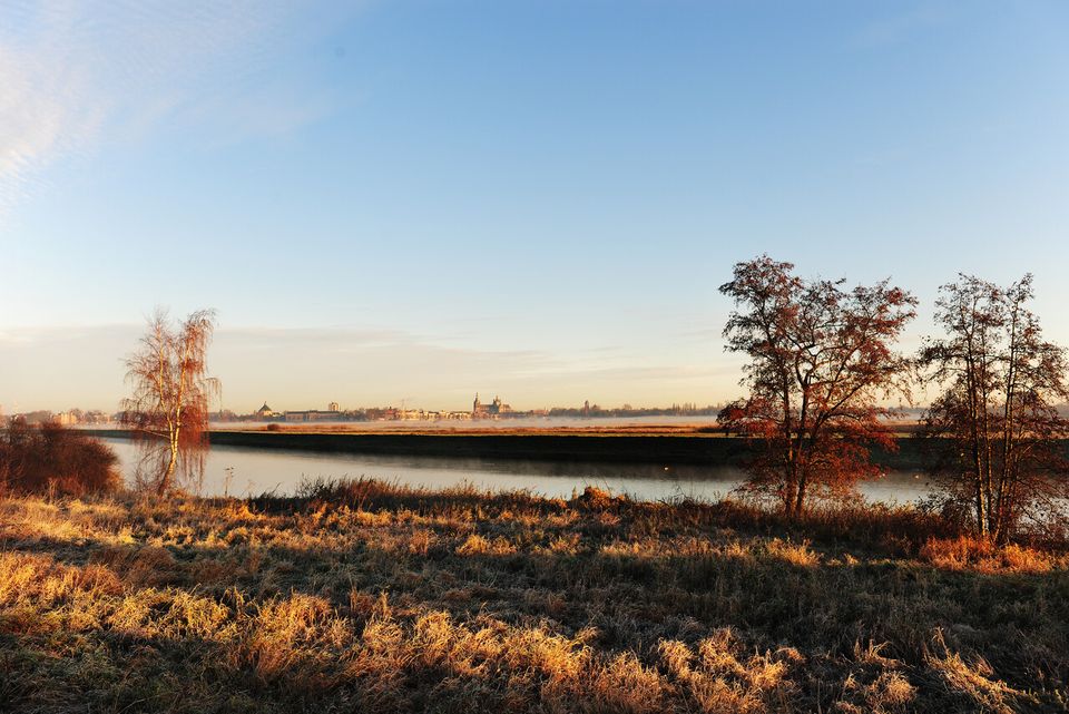 Een foto van het Natuurgebied Het Bossche Broek. Typisch het soort landschap dat Van Gogh inspireerde.