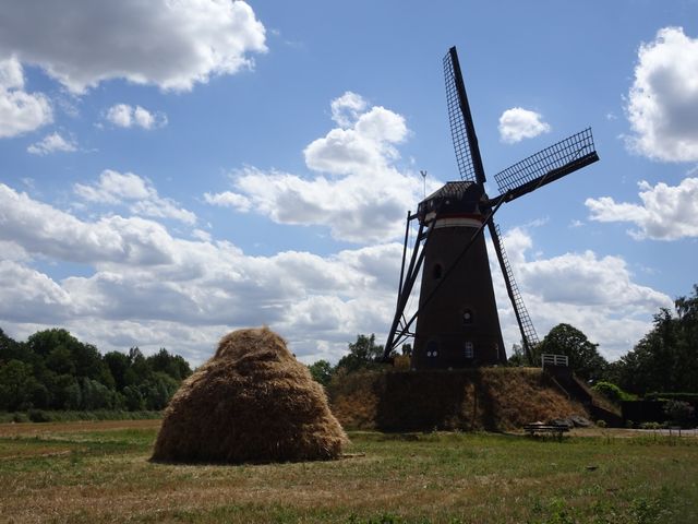 Sommerfoto der Mühle De Roosdonck mit Heuhaufen vor der Mühle