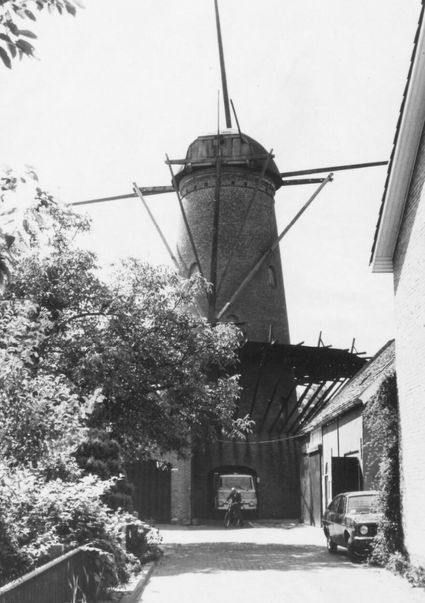molen De Twee Gebroeders, 1950