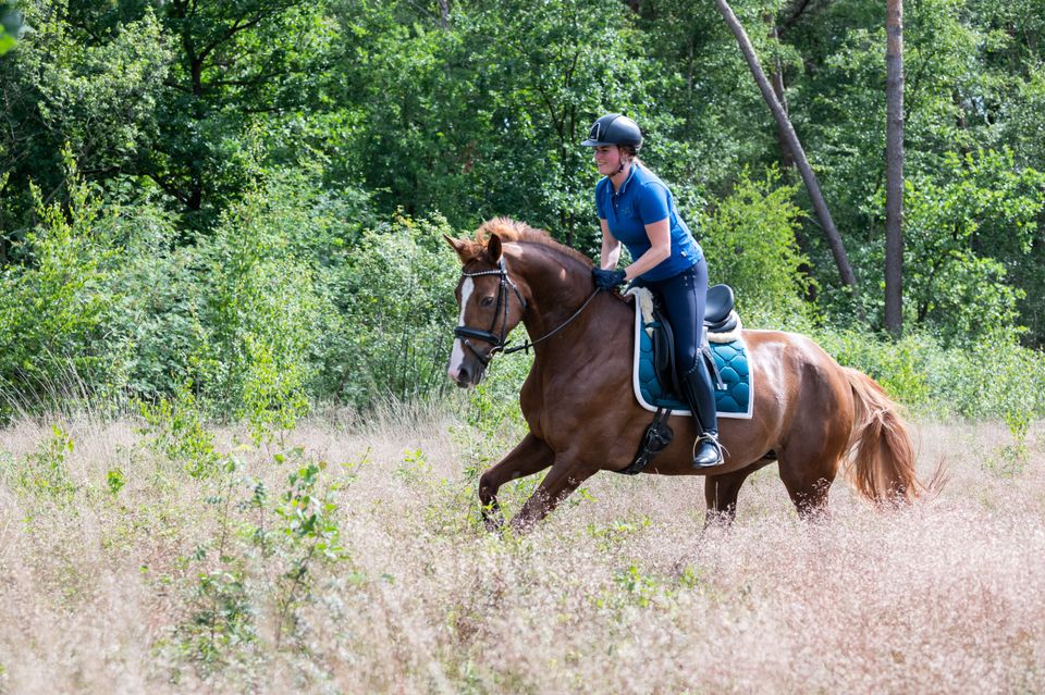 Ruiter Mennen Hippisch FF Offline Valkenswaard actief tops dvi paarden