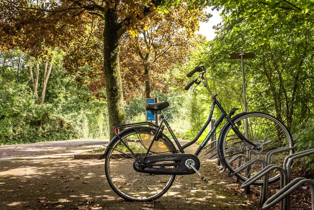 Foto van een fiets in het Westerpark in Zoetermeer.