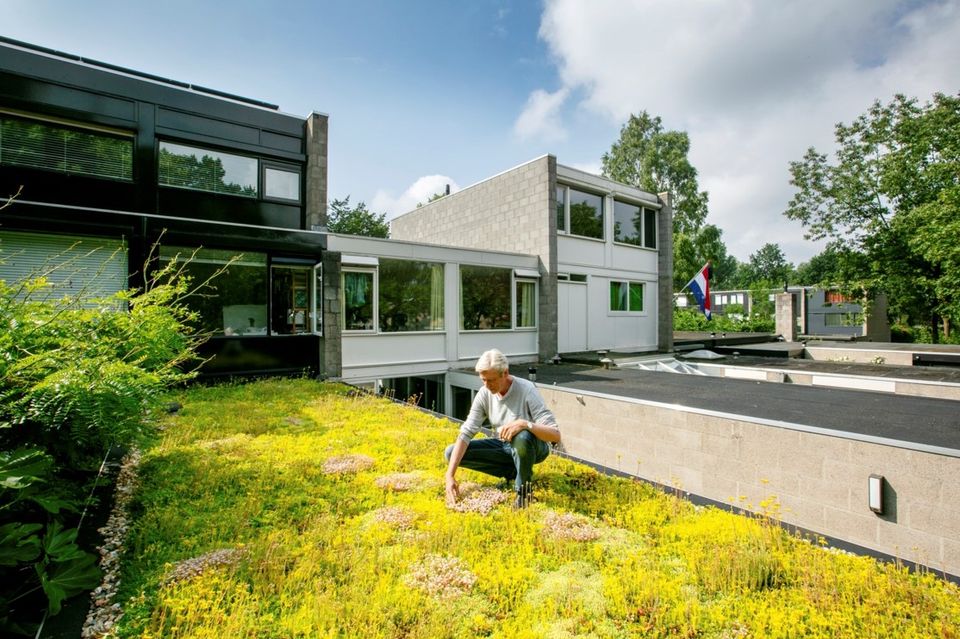Foto van een man die op zijn groene dak staat.