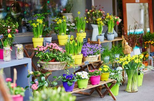 Planten en bloemen tijdens de lentemarkt