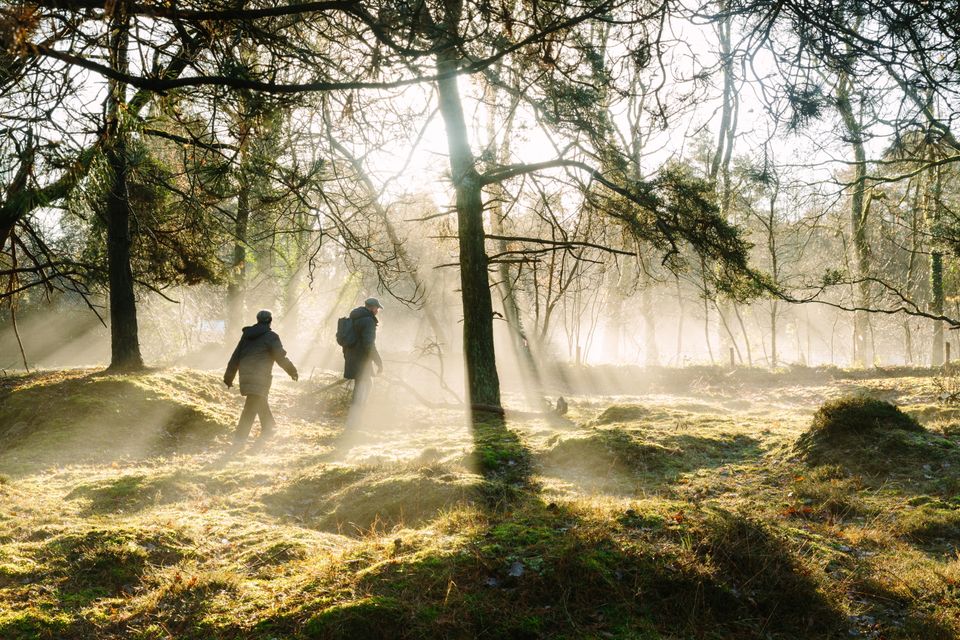 Twee wandelaars lopen door het bos met prachtige lichtinval van de zon.