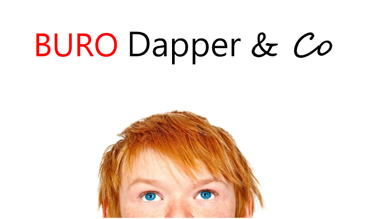 Logo Buro Dapper & Co