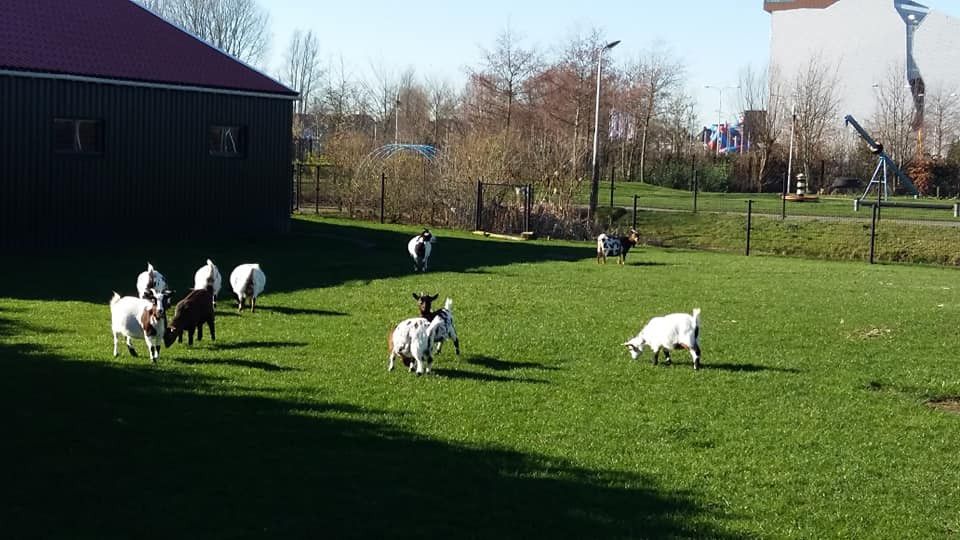 Kinderboerderij Leeuwarden