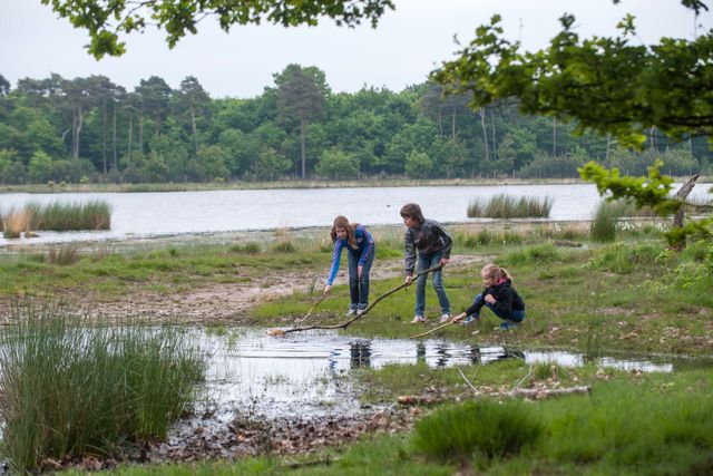 Spelende kinderen bij het water in het Zandbos in Deurne