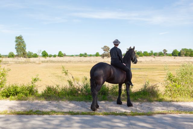 friesland style arizona
een man met een hoed op een paard met op de achtergrond een groen landschap