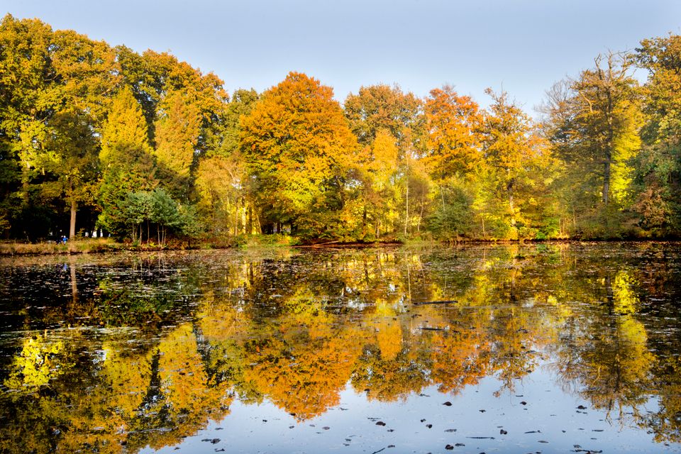 Herfstkleurige bomen weerspiegelen in een meertje