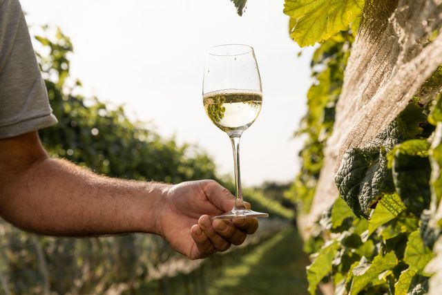 Glas witte wijn bij Wijngaard Domaine de Brabantse Wal
