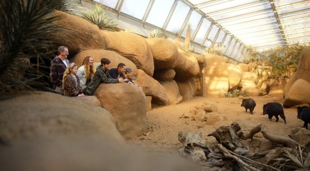 Familie bij ecodisplay Desert in dierenpark Burgers' Zoo in Arnhem