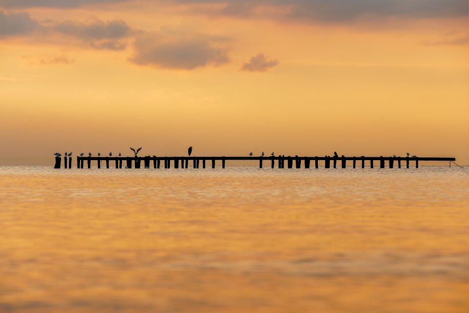 Zeevogels op een houten pier tijdens een gouden zonsondergang