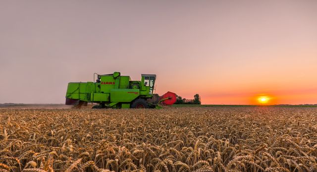 Het zijaanzicht van een traktor die een tarweveld bewerkt in Bant met op de achtergrond de ondergaande zon.