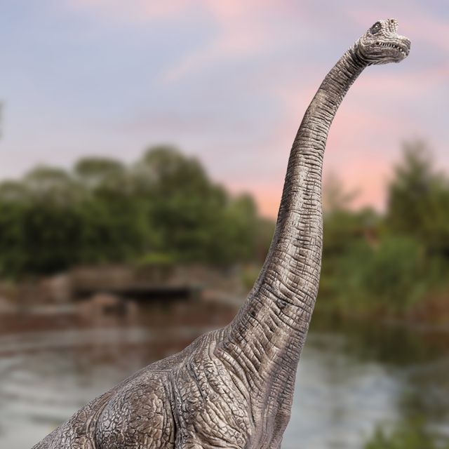 Brachiosaurus in AquaZoo