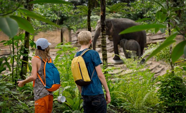 Een jongen en meisje kijken naar een olifant