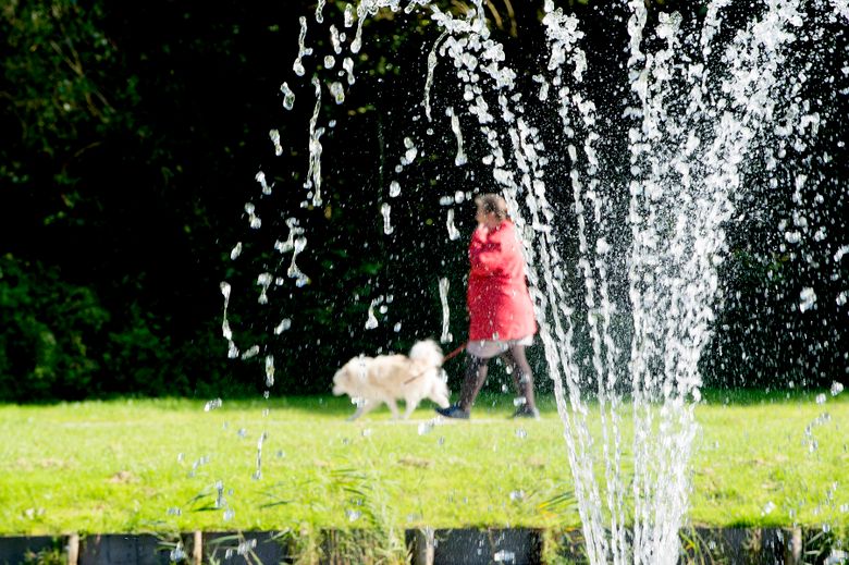 Wandelen met de hond door een park met een fontein