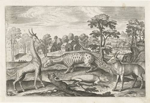 Exotische dieren, anoniem, naar Adriaen Collaert, 1595 – 1652 (collectie Rijksmuseum)