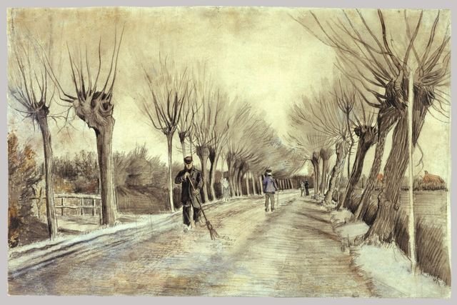 Road with pollard willows and man with broom