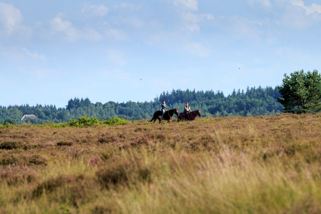 Paardrijden op de Veluwe Ermelose Heide